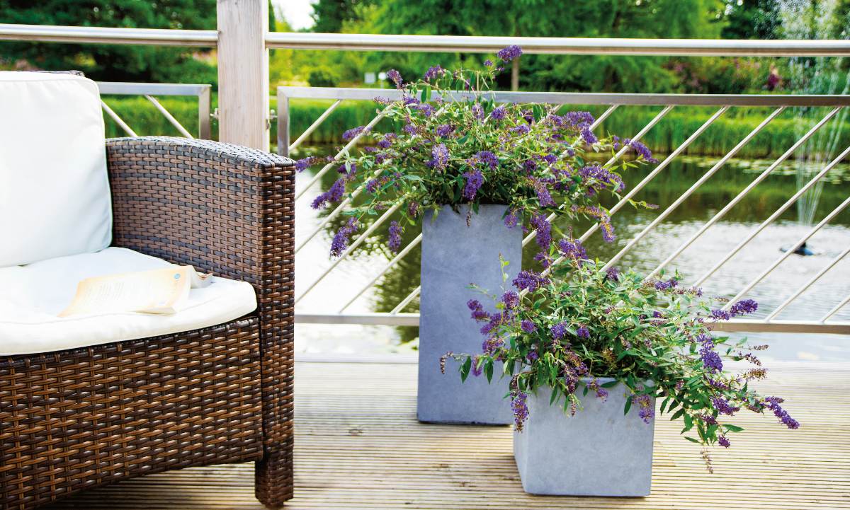 Platz für Grün ist überall - HORTIVISION TRENDS