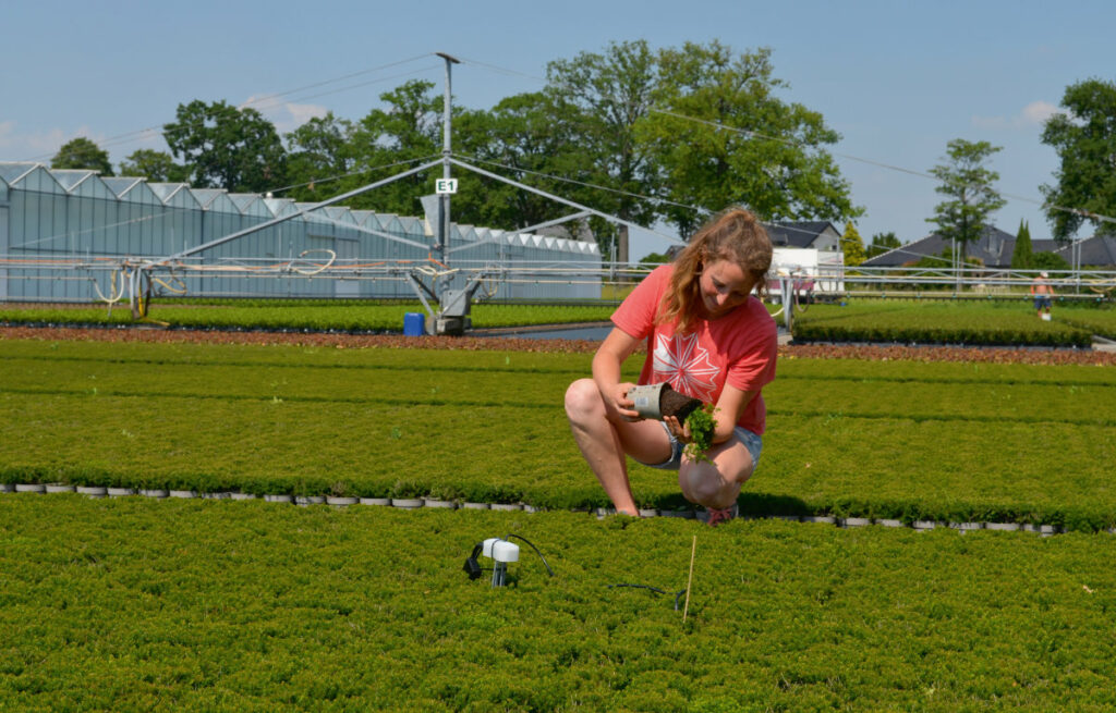 Foto: Nele Lang, Nursery Stock Growing Support System