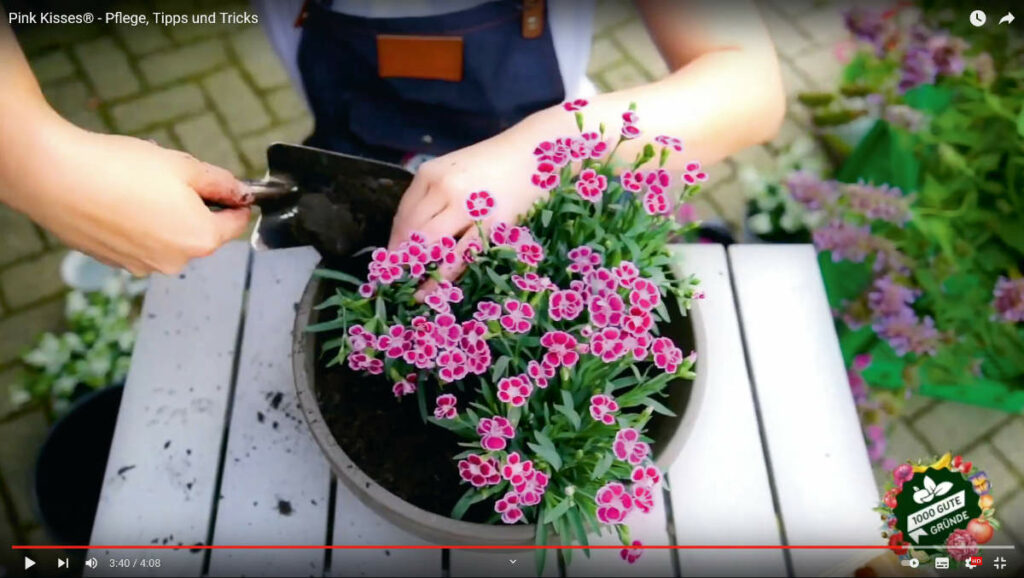 DIY-Video von „1000 gute Gründe“ auf YouTube. Bild: „1000 gute Gründe“.